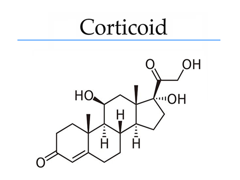 Cấu trúc hóa học của Corticoid 